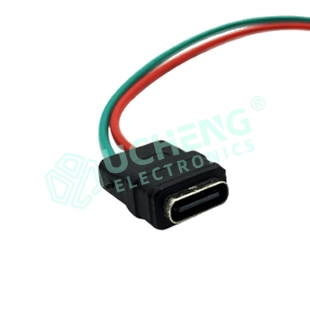 Type-C 2P Wire Solder Waterproof Female Charging Socket